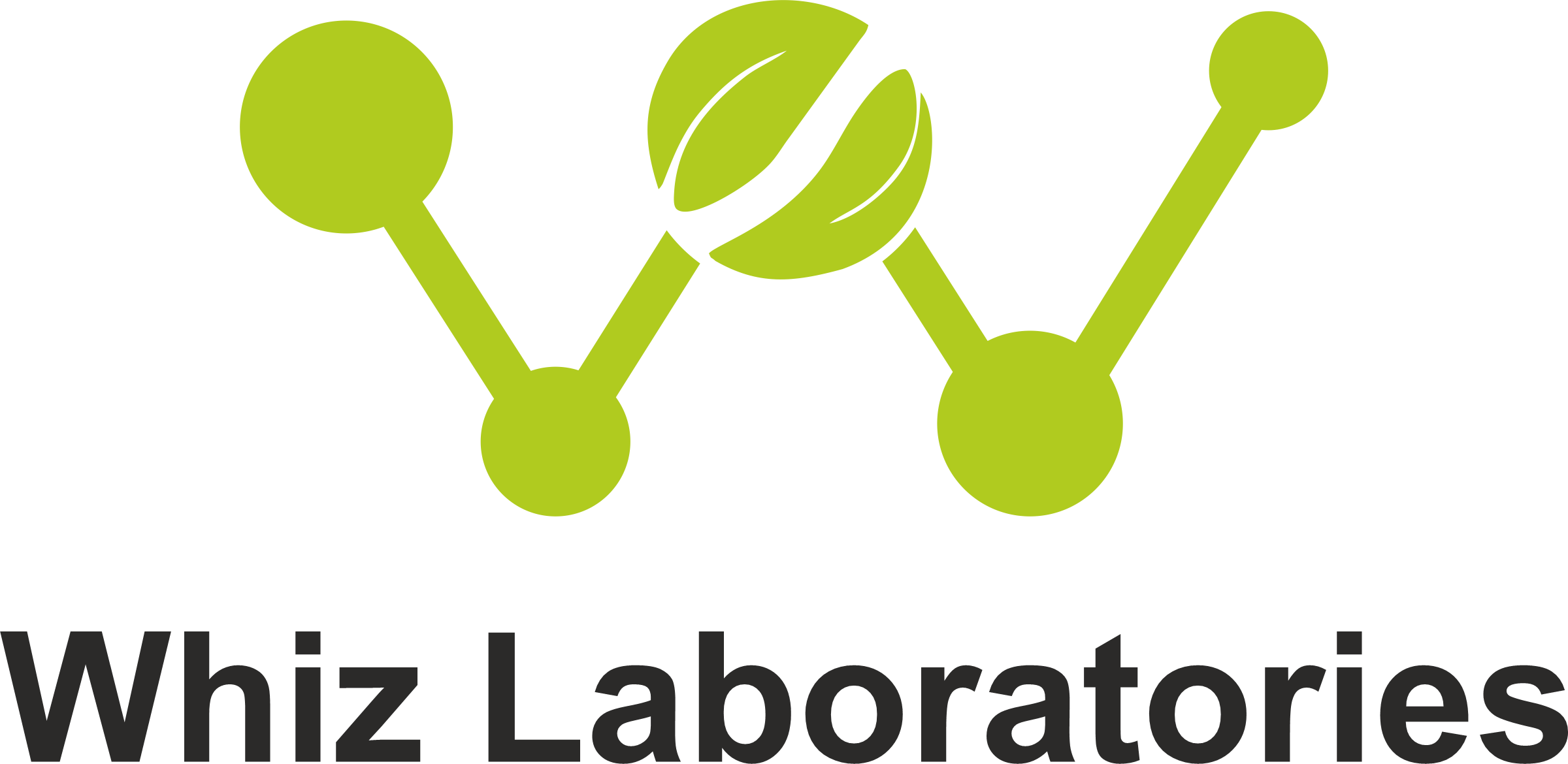 Brand-Logo-01.png